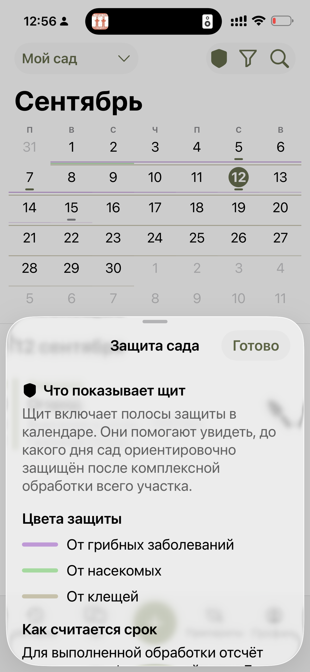 Полосы ориентировочной защиты сада в календаре